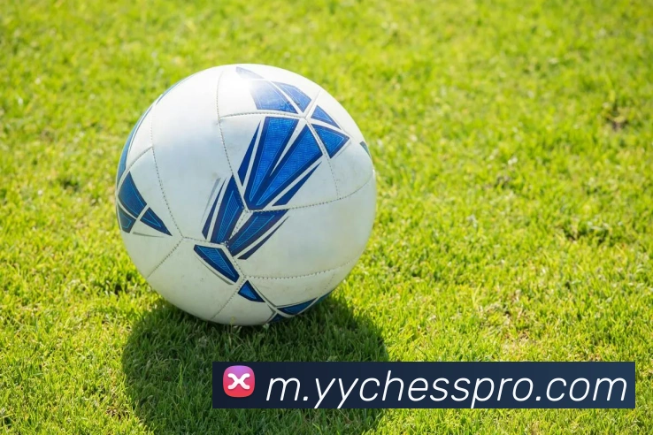 永盈棋牌服务体系